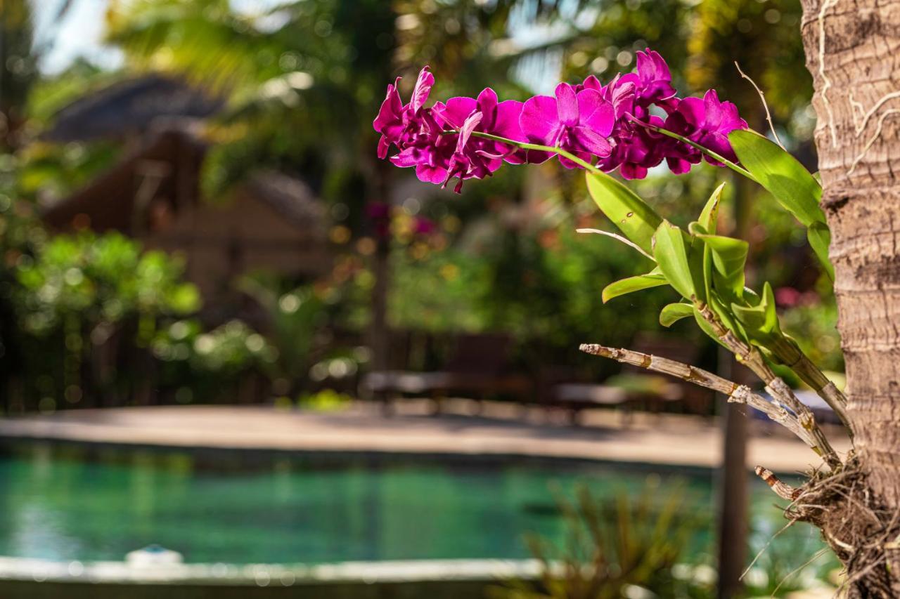 Ventura Barra Grande Hotell Barra Grande  Exteriör bild